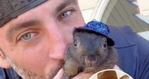 Peanut The Squirrel Euthanized After Being Seized By Authorities