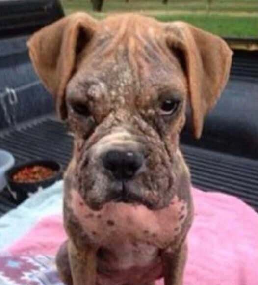 476171342_122101447262757236_9061025379864298833_n